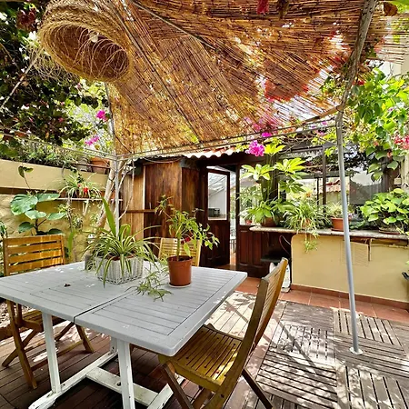 Oasis Garden * Puerto de la Cruz (Tenerife)